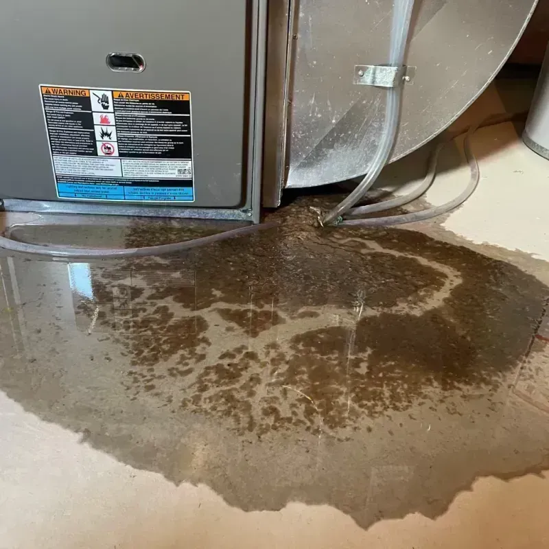 Appliance Leak Cleanup in Crawford County, MO